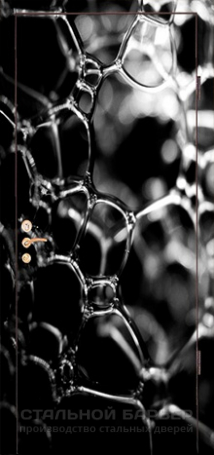 Дверь с фотопечатью №6